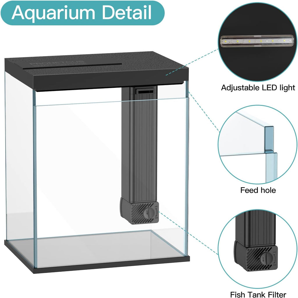 Betta Fish Tank, 2 Gallon Glass Aquarium Starter Kit, Small Fish Tank with Filter and Light.