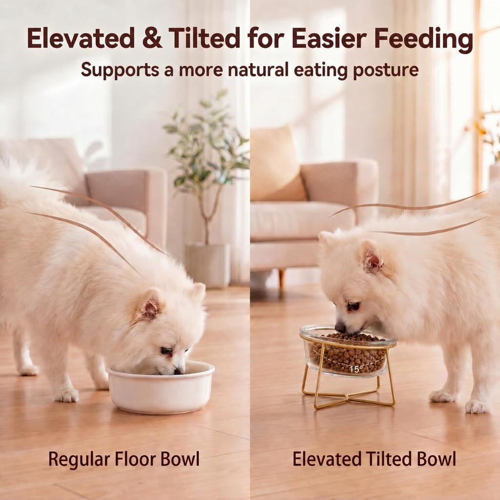 Small Glass Tilted Elevated Cat Dog Bowl Raised Cat Food Water Bowl Dish Pet Comfort Feeding Bowls with Gold Iron Stand