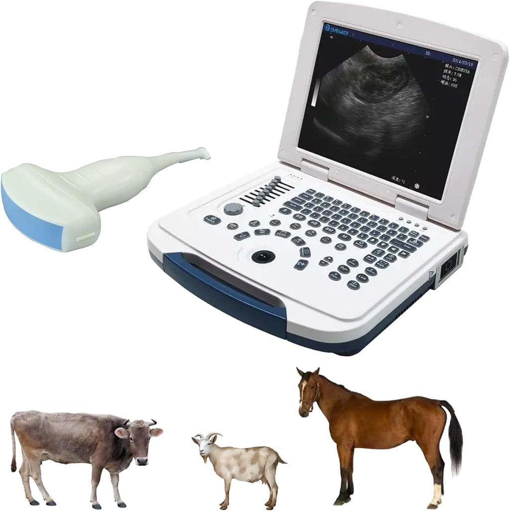 Mu10 Veterinary Ultrasound Machine Scanner with Waterproof Probe B,BB,BM,4B for Vet Ultrasound Scanner Animals