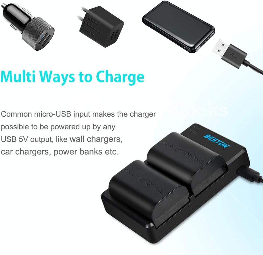 2-Pack of LP-E6N Batteries and Dual Battery Charger for Canon EOS R, R5,R6,R6 Mark II, EOS 60D 70D 80D 90D, 5D Mark