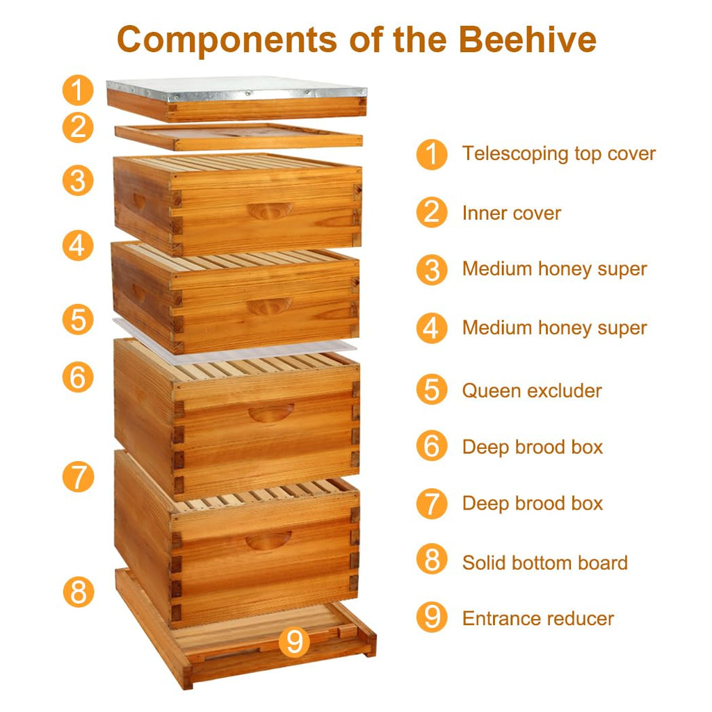 10-Frame Langstroth Beehive Starter Kit, Beeswax Coated Complete Bee Hive Includes 2 Deep Brood Boxes & 2 Medium