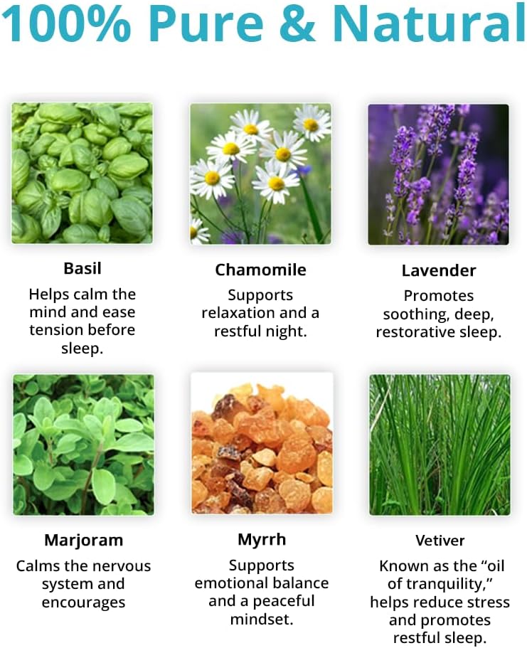 Wild Essentials Go The F to Sleep Essential Oil Blend, Soothing Bedtime Aromatherapy Oil for Diffusers, 100% Pure
