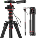Basics Camera Tripod Monopod, 77" Compact Lightweight Travel DSLR Video Stand, 360° Ball Head, Arca Type QR Plate