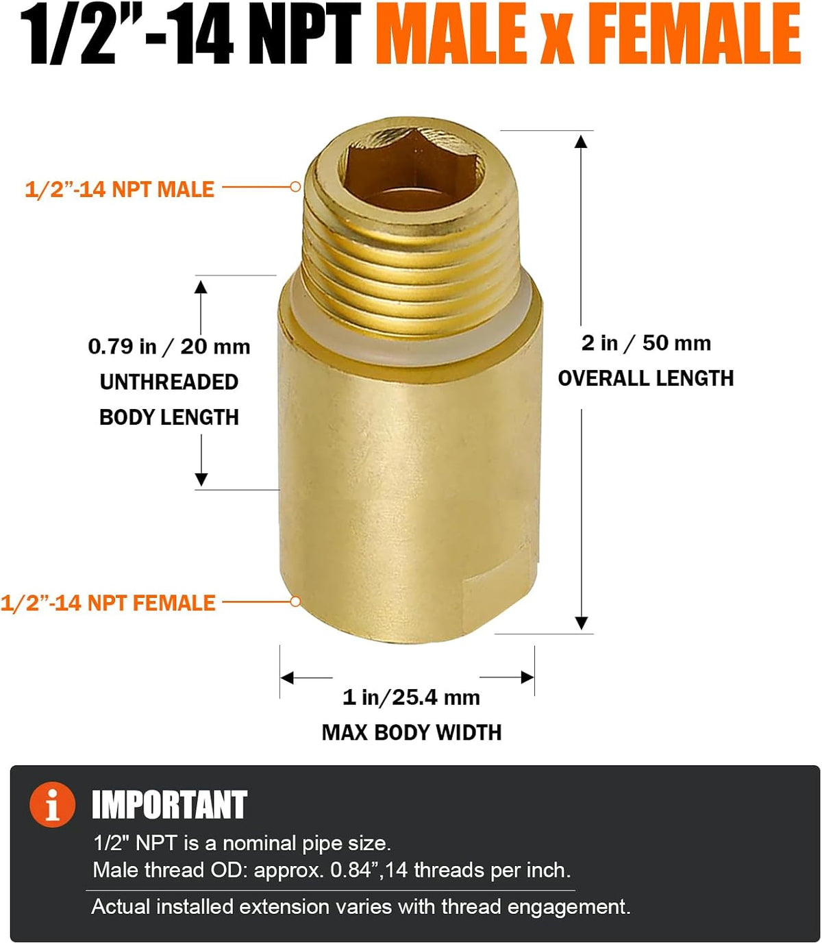 1/2" MNPT x 1/2" FNPT Brass Pipe Extension Adapter