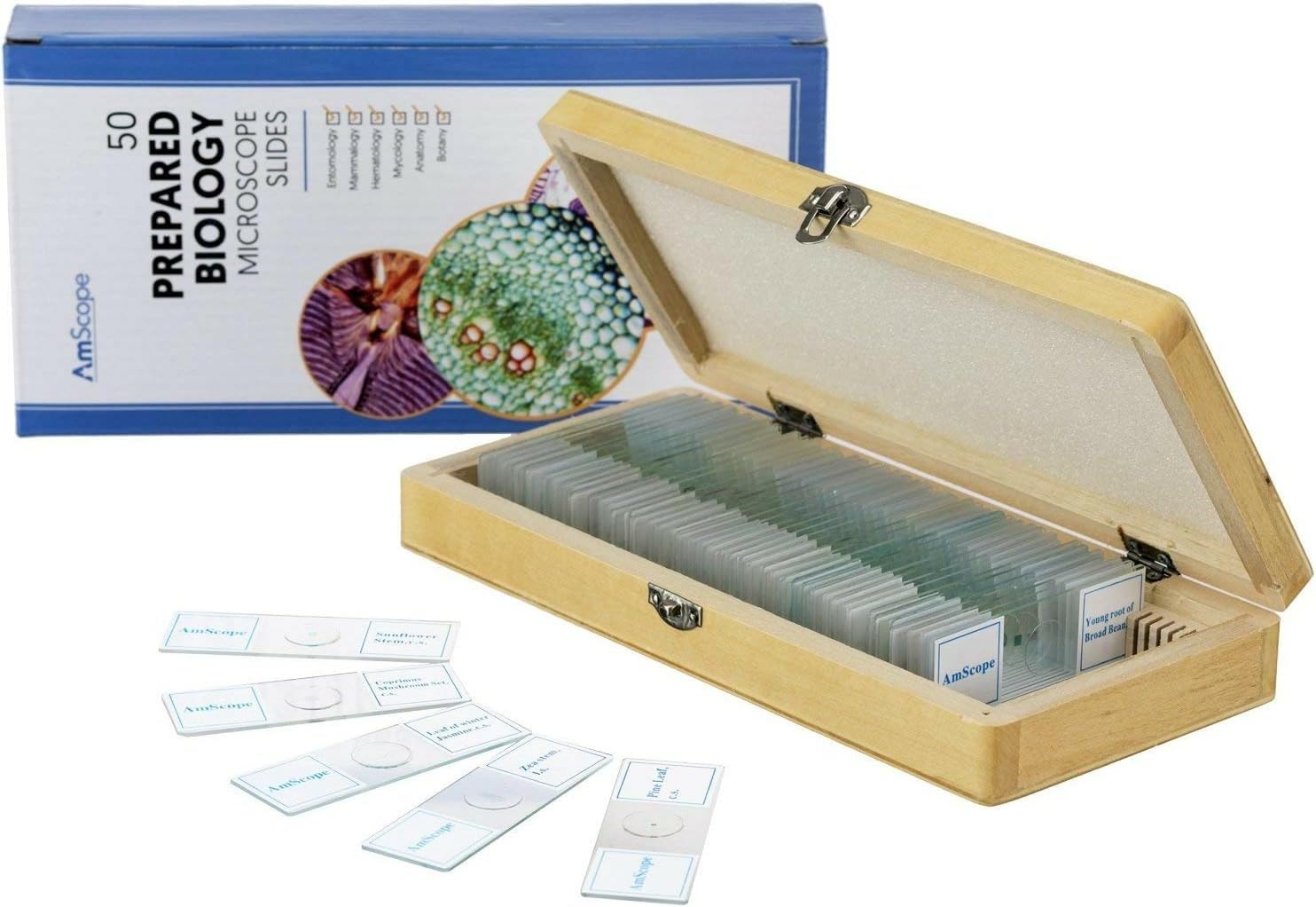 PS50 Prepared Microscope Slide Set for Basic Biological Science | 50pc Prepared Slides Professionally Stained &
