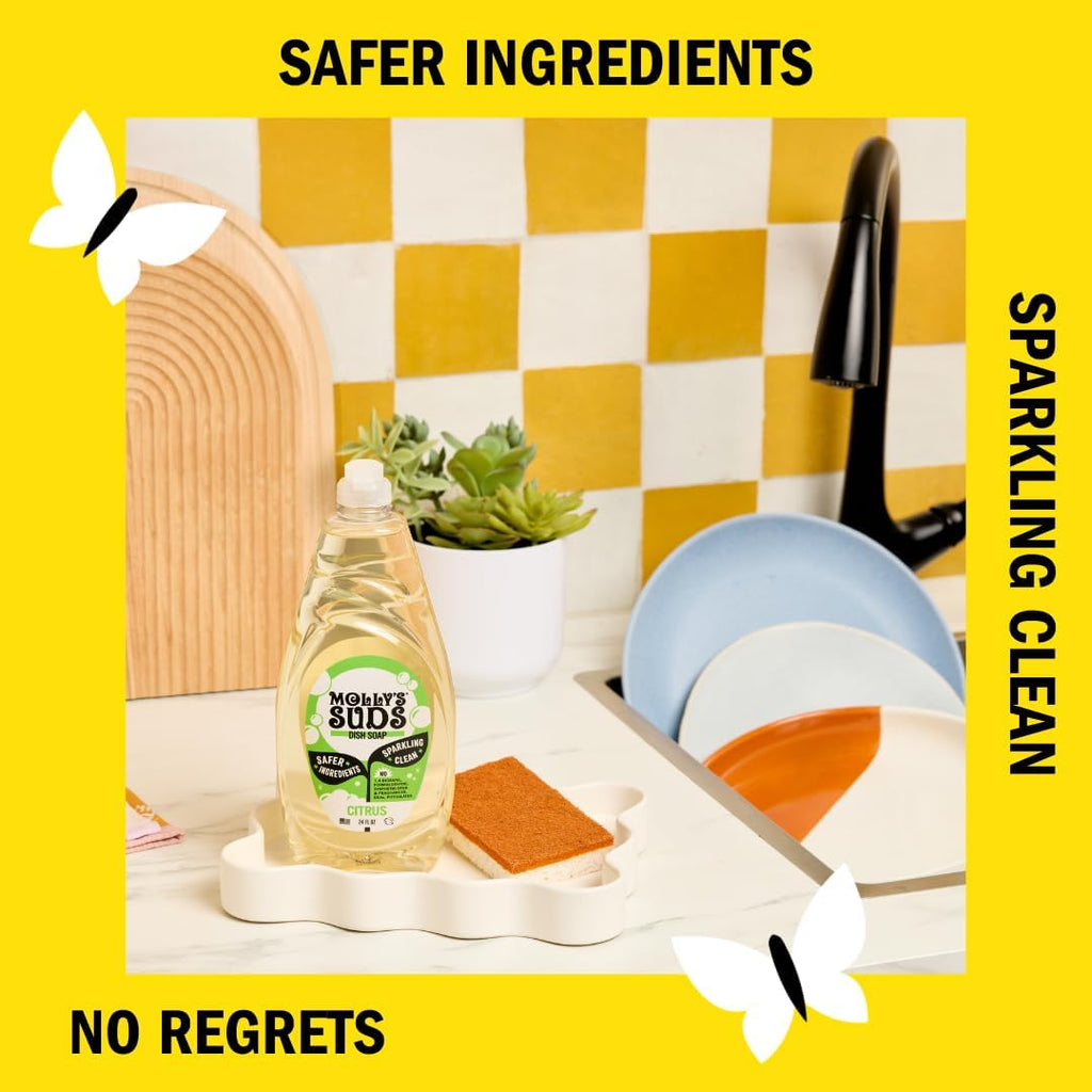 Liquid Dish Soap | Clean, Simple Ingredients | Extra Scrubbing Power | Citrus Scent, 24 oz - 2 Pack