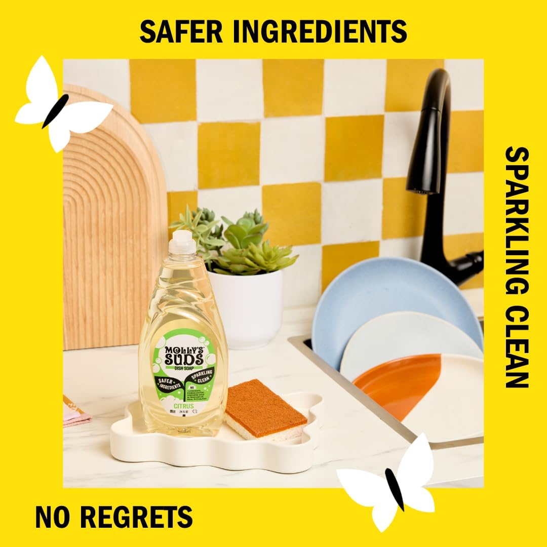 Liquid Dish Soap | Clean, Simple Ingredients | Extra Scrubbing Power | Citrus Scent, 24 oz - 2 Pack