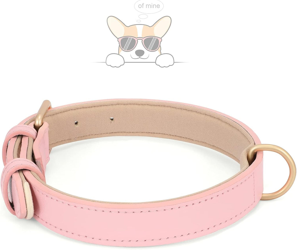 Leather Dog Collar for Small Medium Large Dog Adjustable Soft Breathable Leather Padded Puppy Collar with Alloy