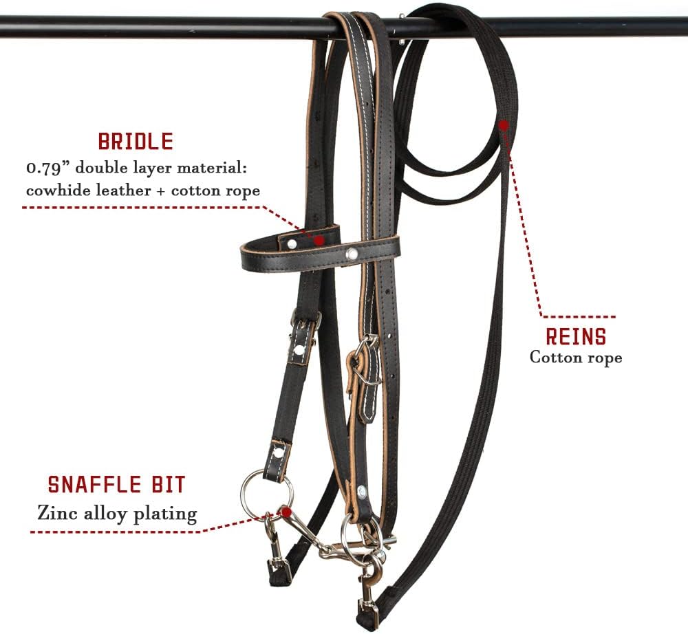Leather Horse Bridle, Adjustable Western Browband Bridles for Horses with Bits and Detachable Reins (L (Above 1.2