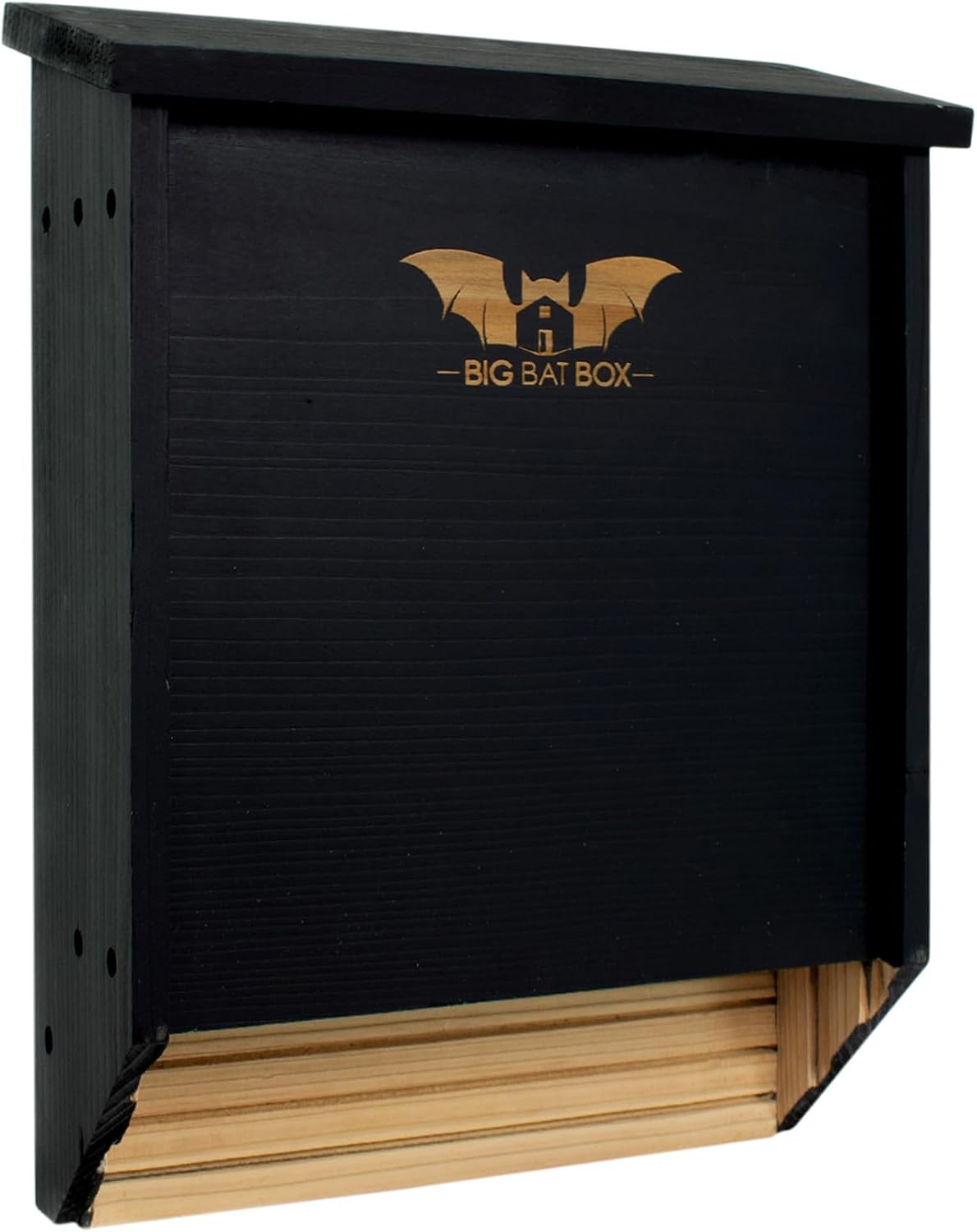 BIGBATBOX Bat House for Outdoors - Large 2 Chamber, Black, Holds 75 Bats
