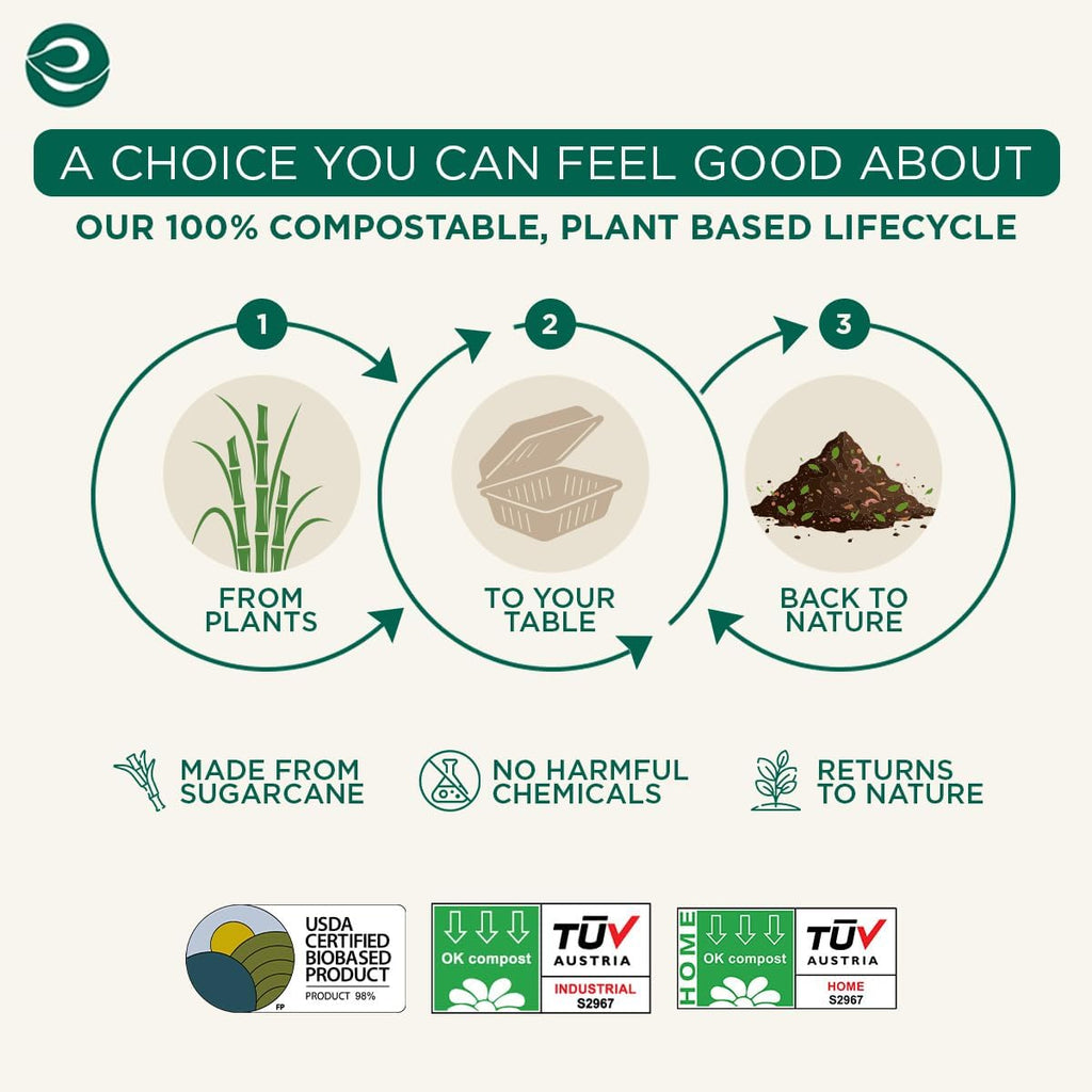 6x6 Compostable Clamshell Food Containers, (50 Pack)