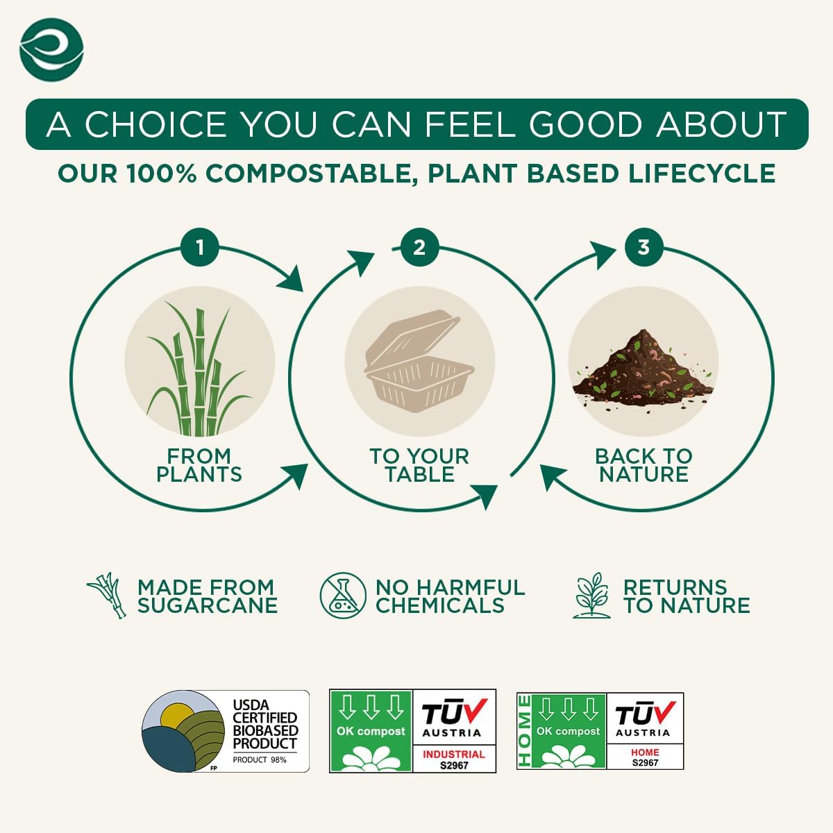 6x6 Compostable Clamshell Food Containers, (50 Pack)