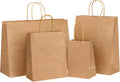 40pcs Paper Bags with Handles Brown Kraft Paper Bags Assorted Sizes