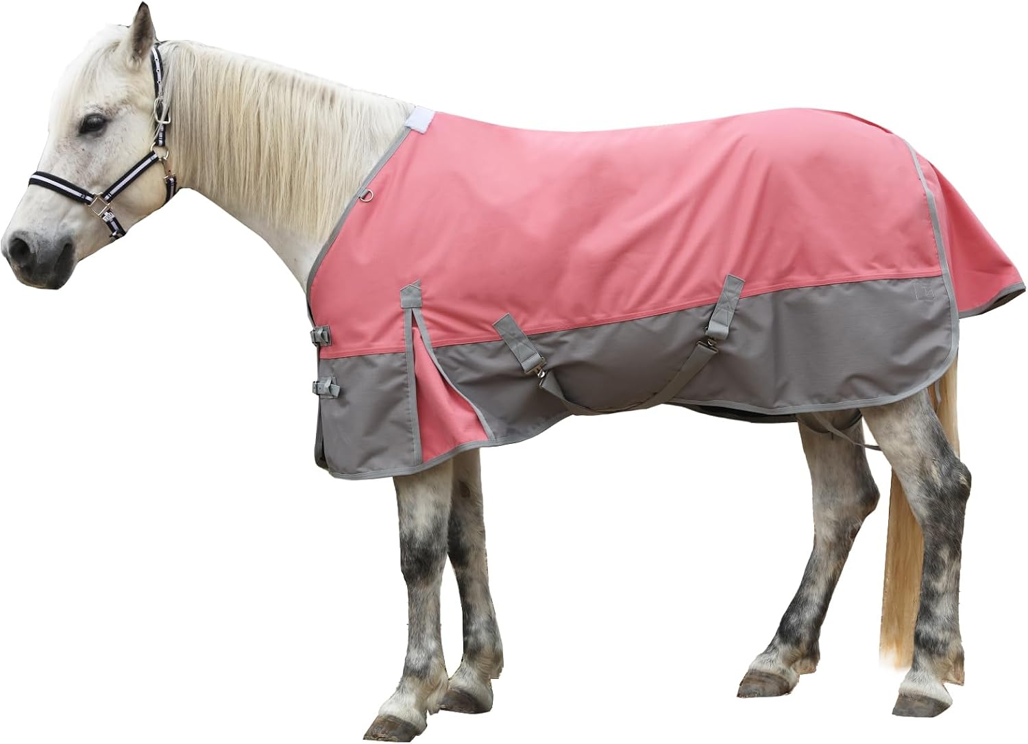 1200D Horse Blanket, 0g No-Fill Waterproof Turnout Rain Sheet