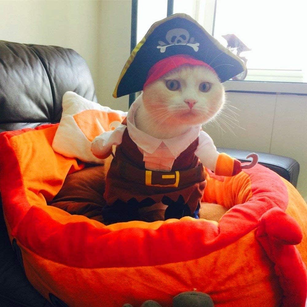 Funny Pet Clothes Pirate Dog Cat Costume Party Apparel | halloween pet suit,corsair dressing up,cat apparel,clothing