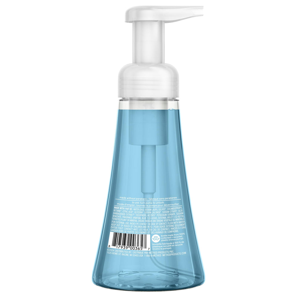 Foaming Hand Wash, Sea Minerals, 10 fl oz, 6 pack
