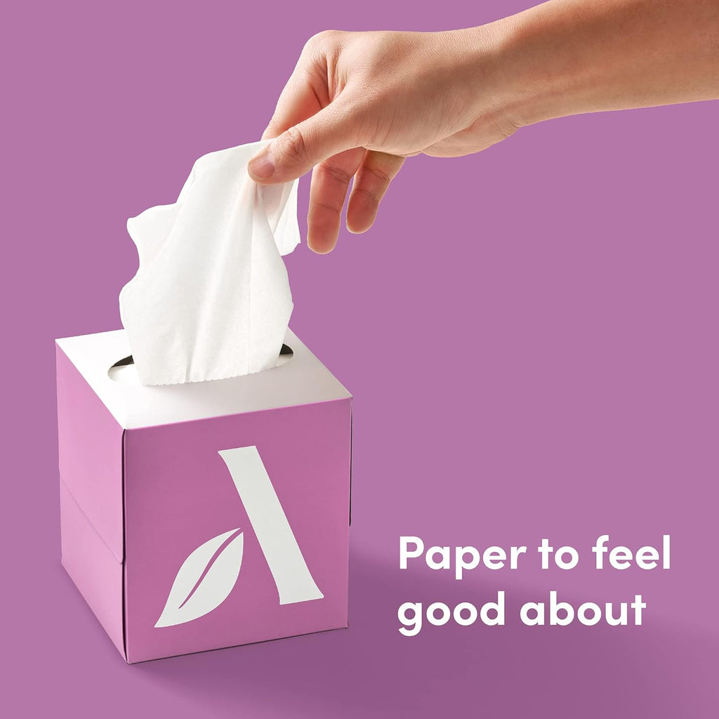 100% Bamboo Facial Tissues, 3-Ply, FSC Certified, 12 Pack, 60 Sheets Per Box, 720 Total
