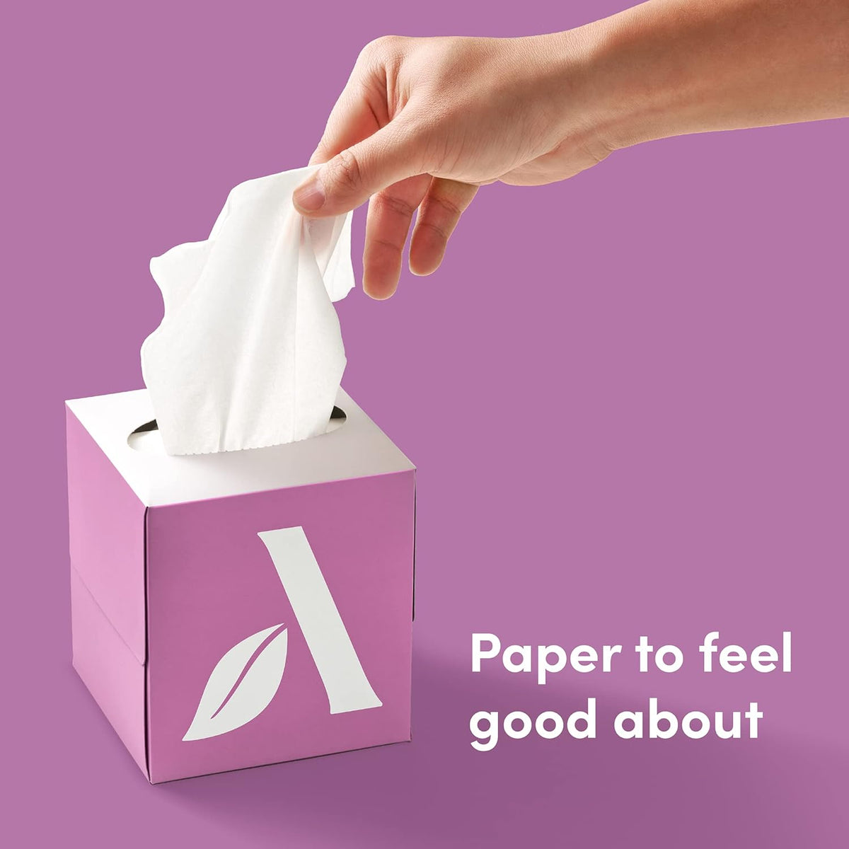 100% Bamboo Facial Tissues, 3-Ply, FSC Certified, 12 Pack, 60 Sheets Per Box, 720 Total
