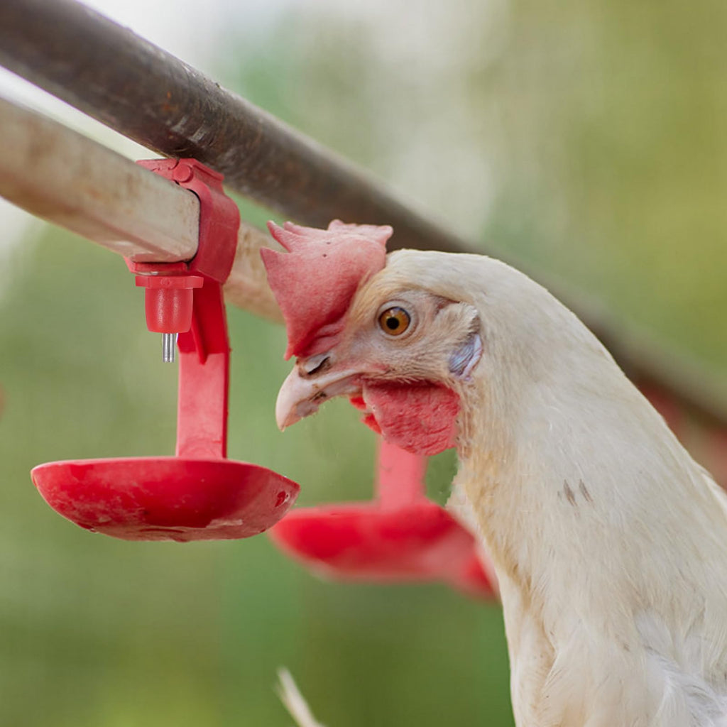20pcs Chicken Water Nipples Steel PVC Automatic Poultry Waterer Kit