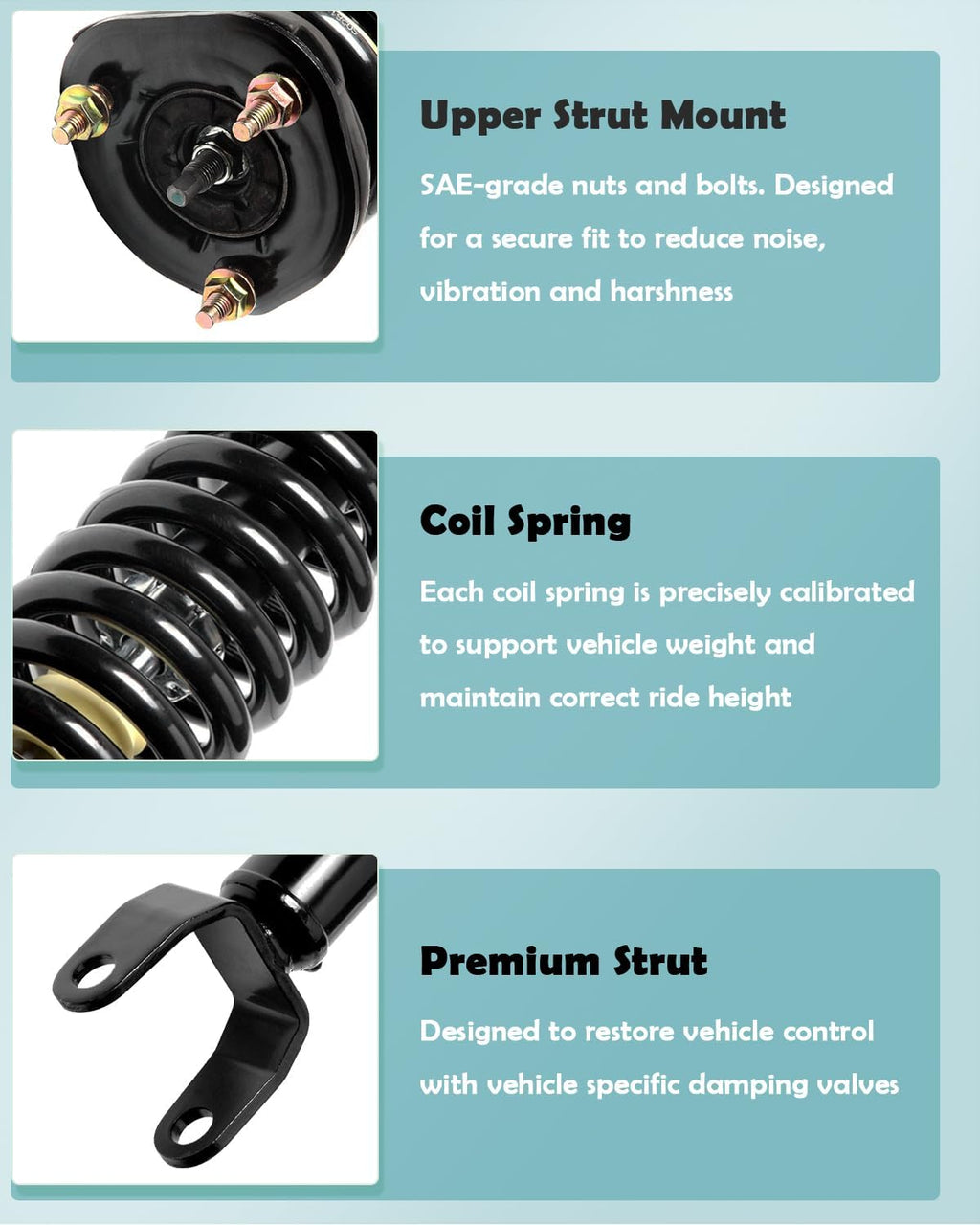 SCITOO Front Struts Assembly for Dodge Dakota 2005-2009 2PCS