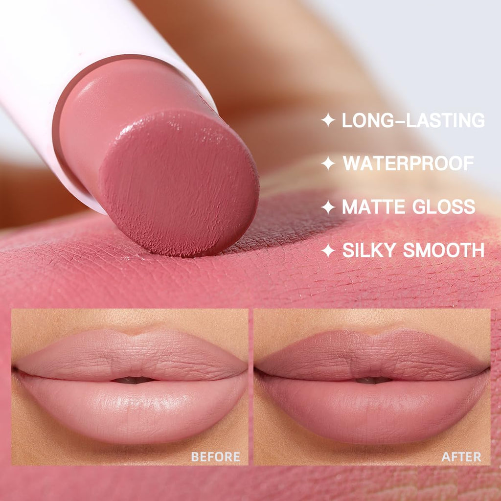 2 in 1 Waterproof Lipstick and Lip Liner Combo Set - Long Lasting Matte Lipstick Pen with Lip Liner Set Makeup Kits