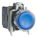 Illuminated Push Button, 22Mm, Blue