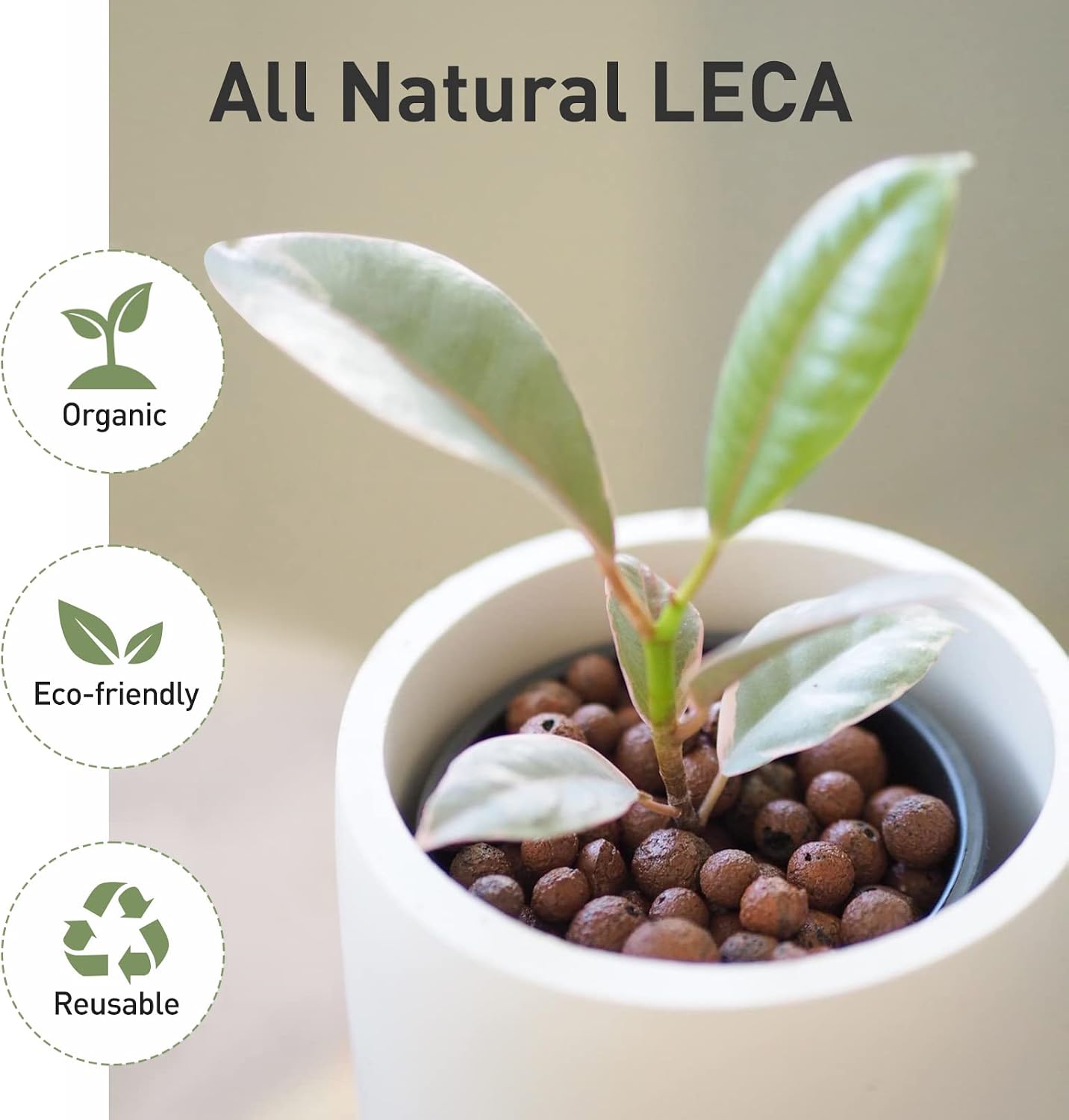 10lb LECA Expanded Clay Pebbles for Plants, Hydroponics, Aquaponics, 100% Natural Leca Balls for Soil Root