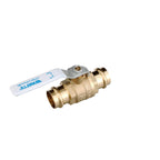 Watts 88005495 1 IN 2-Piece Press Brass Ball Valve