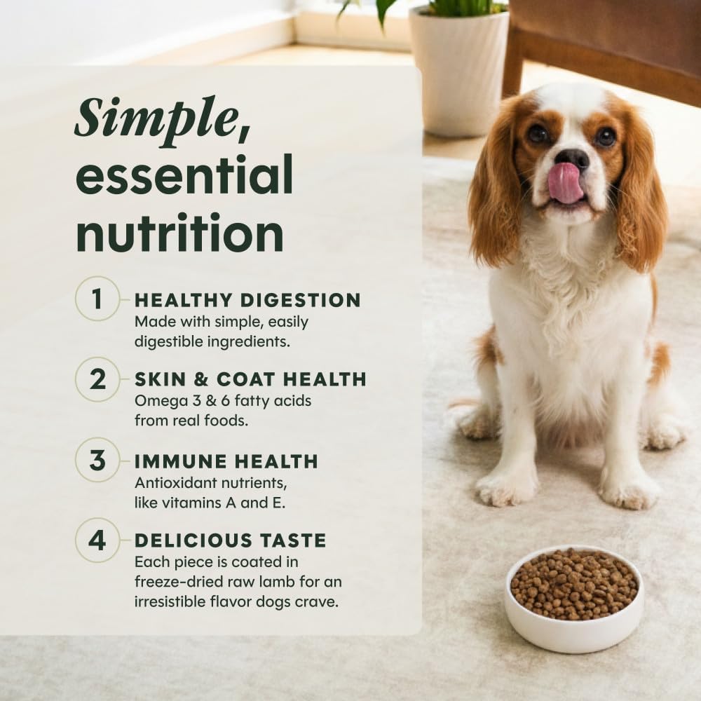 Limited Ingredient Diet Dry Dog Food, Real Lamb, 20 lb. Bag