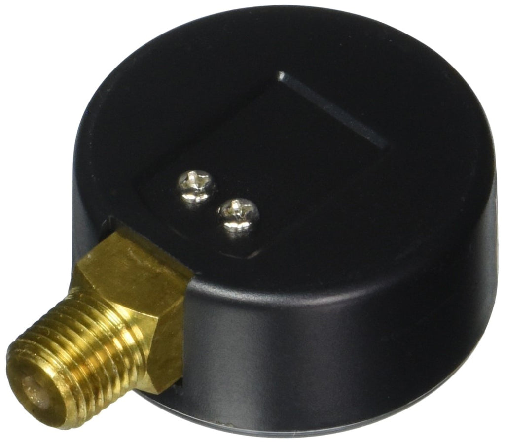 Wayne 2" Diameter, 0-200 PSI, 1/4" Bottom