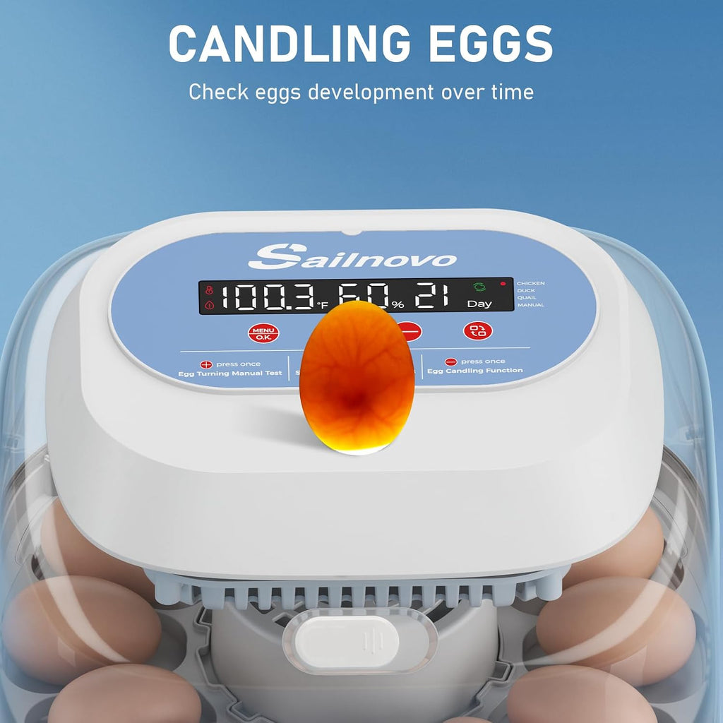 12 Eggs Incubator, 4 Modes, Temp Control & Humidity Display, Blue