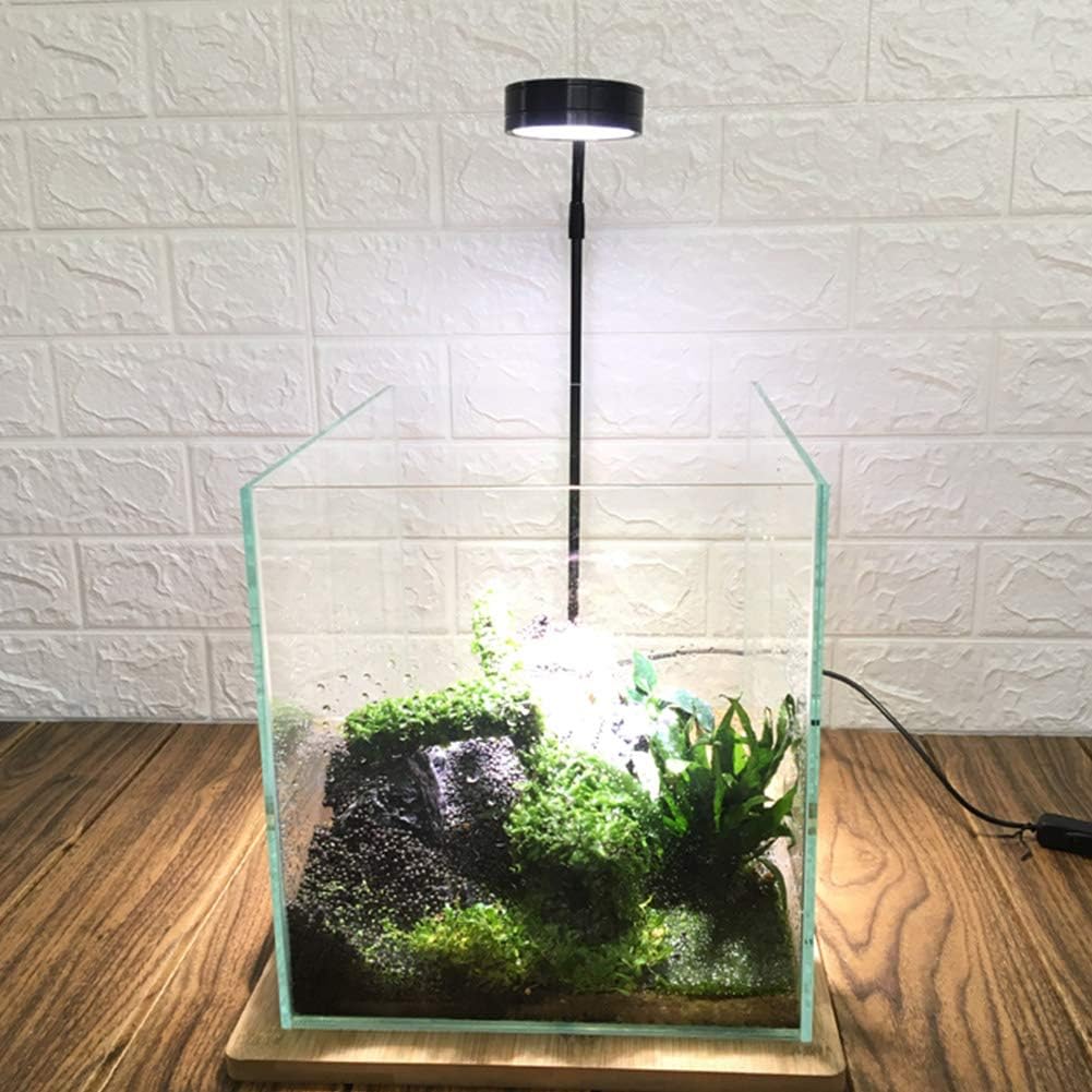 LED Aquarium Light for Under 5 Gallon Fish Tank 10W Full Spectrum