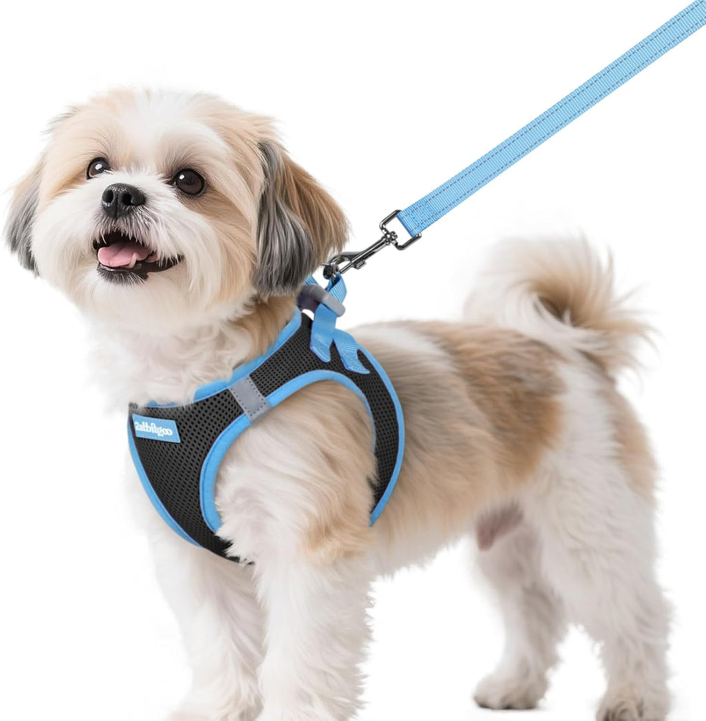 Dog Harness Small Sized and Leash Set, Step-in Breathable Pet Harness, Soft Walking Reflective Puppy Vest for Small