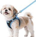 Dog Harness Small Sized and Leash Set, Step-in Breathable Pet Harness, Soft Walking Reflective Puppy Vest for Small