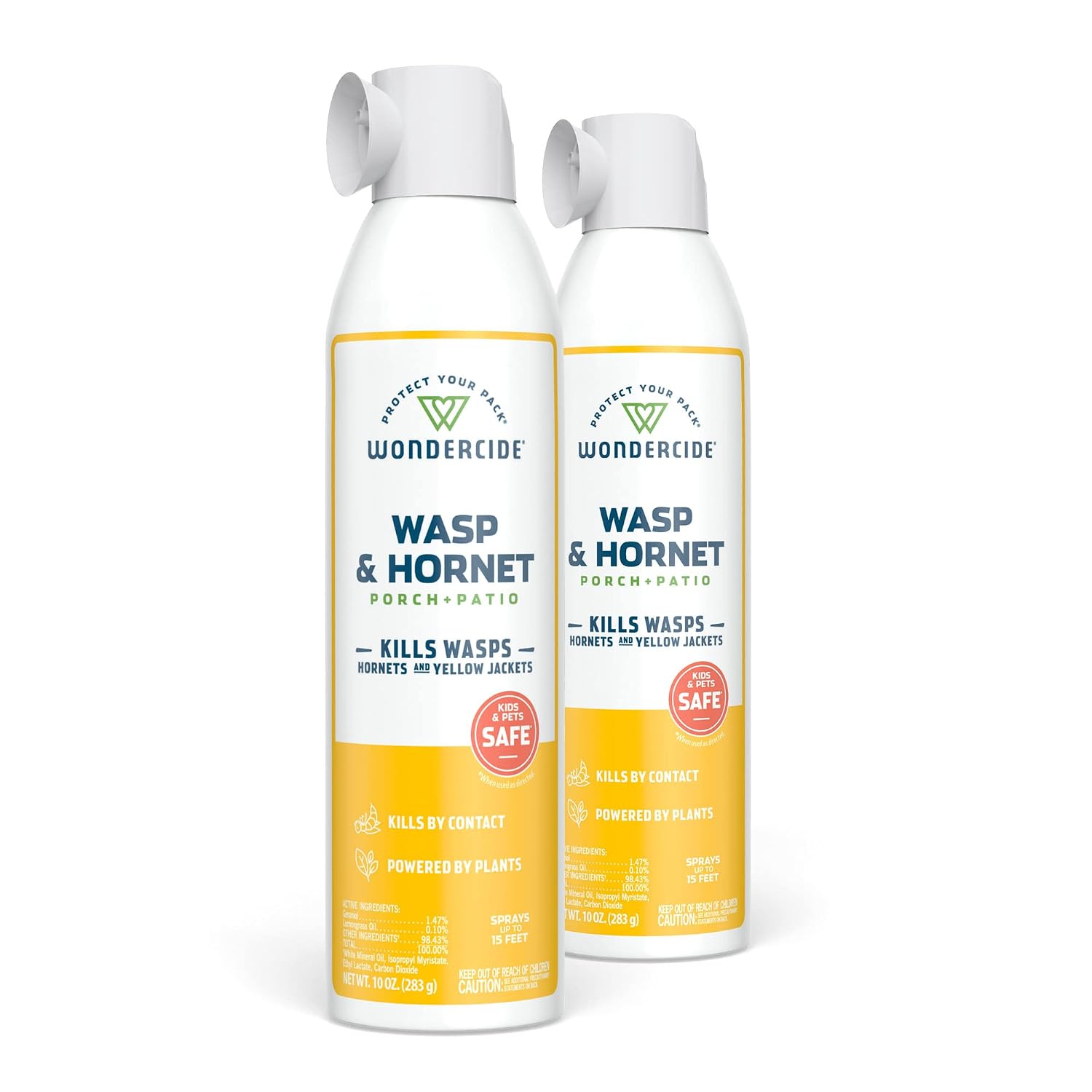 Wasp and Hornet Killer Aerosol Spray - 10 oz - 2 Pack | Kills Wasps, Hornets & Yellow Jackets - With Natural