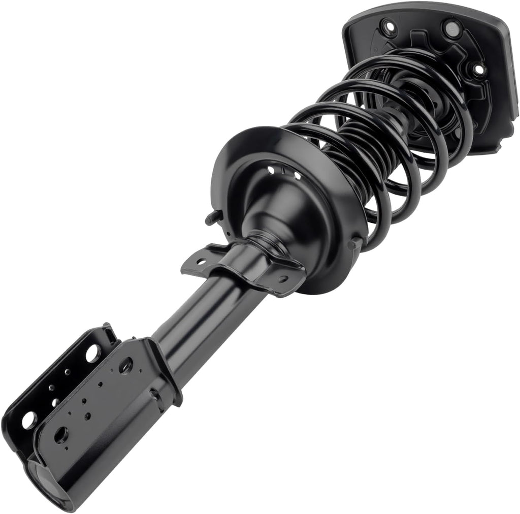 PHILTOP 2 PCS Rear Strut Assembly with Coil Spring Shock Absorber
