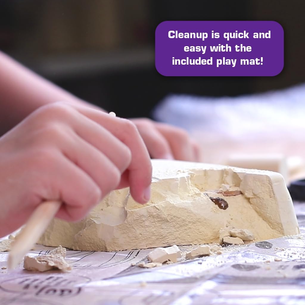 Gemstone Dig Kit for Kids with 10 Real Gemstones | Gem Digging Kit for Kids 8-12 STEM Science