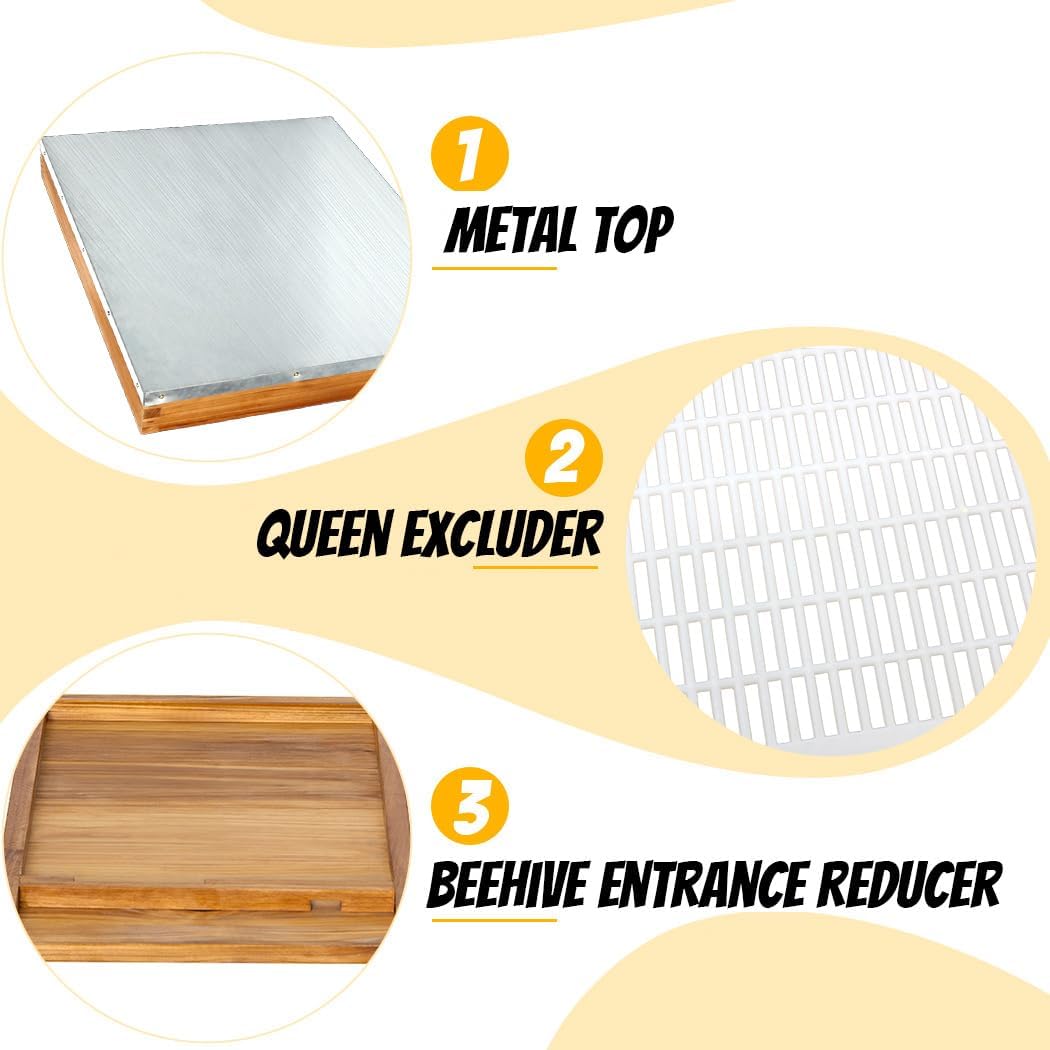8 Frame Beehive Starter Kit – Beeswax Coated Deep Beehive Box with Frames, Complete Beekeeping Kit for Beginners with