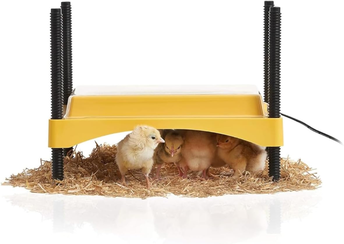 Ecoglow Safety 600 Chick or Duckling Brooder, Up to 20 Chicks
