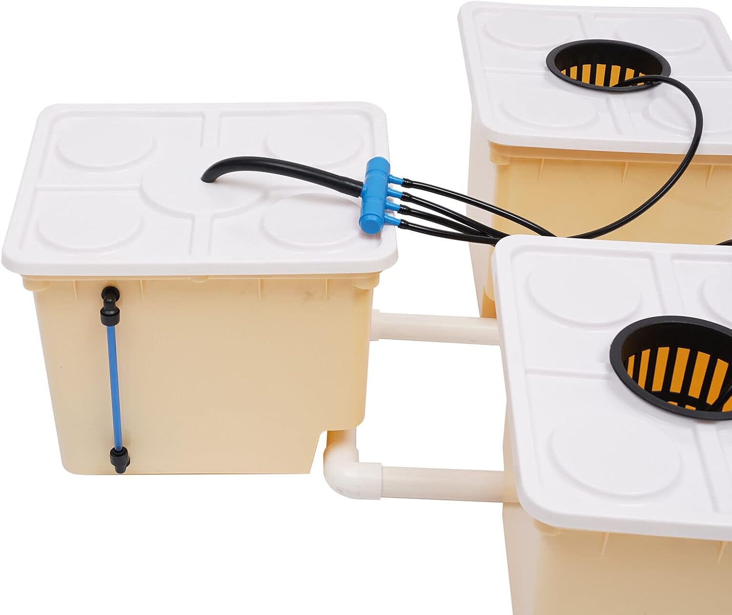 DWC Hydroponics Grow System, 2.91 Gallon 5 Buckets Deep Water Culture DWC Hydroponic Grow System Kit with 4W Pump