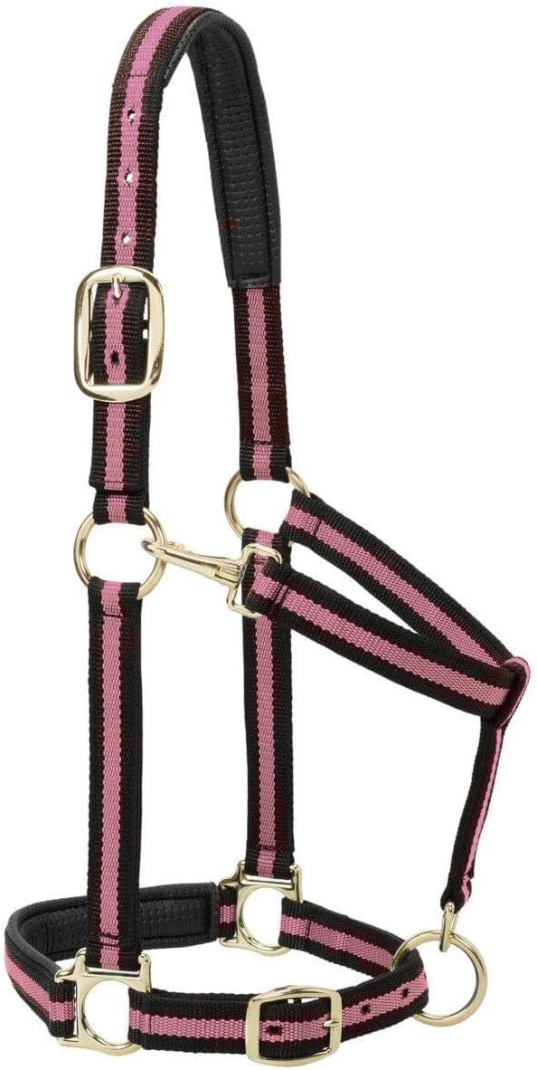 Weaver Leather Nylon Horse Halter, Padded and Adjustable, Chin and Throat Snap Hook Halters for Horses, Brass Plated