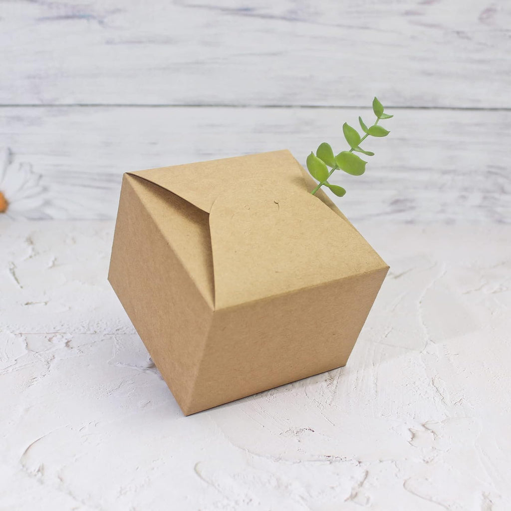 Brown Box for Presents, 10 Pack Small Kraft Gift Boxes with Ribbon