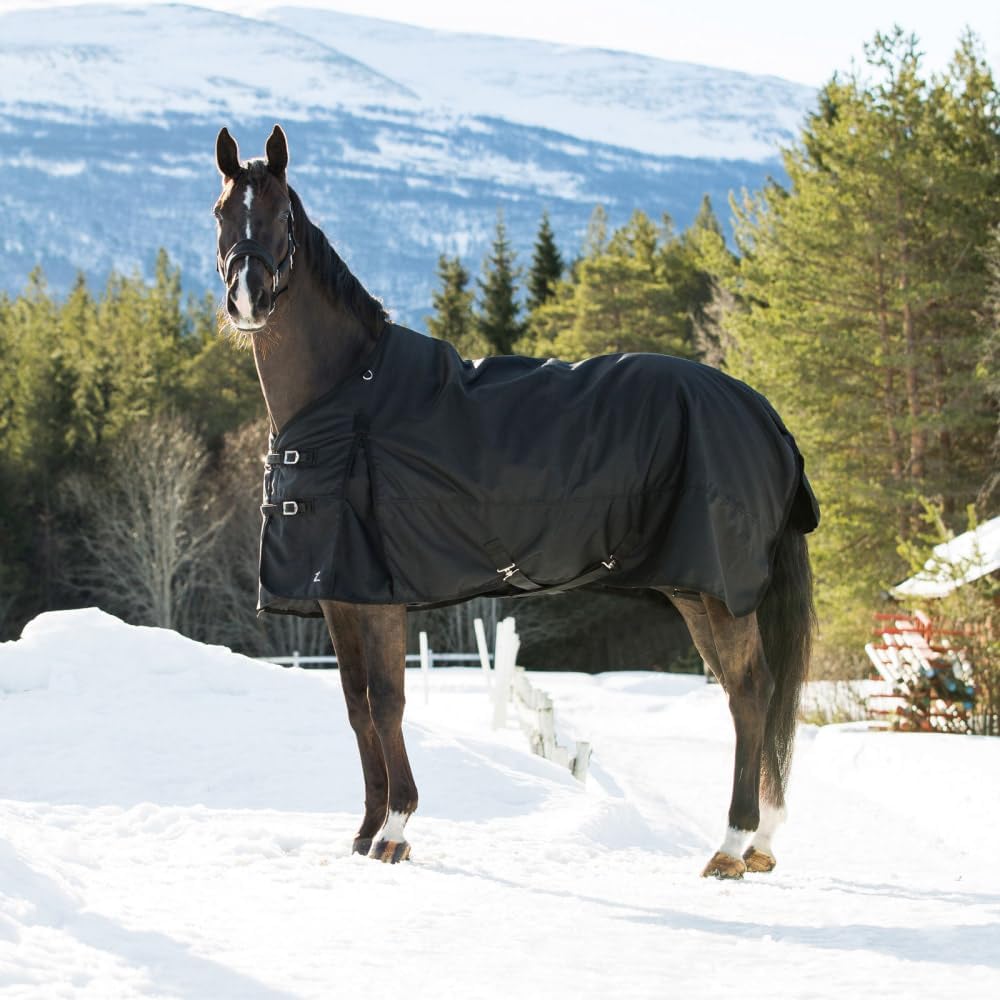 Nevada Horse Blankets for Real Horses, Turnout Blankets for Horses