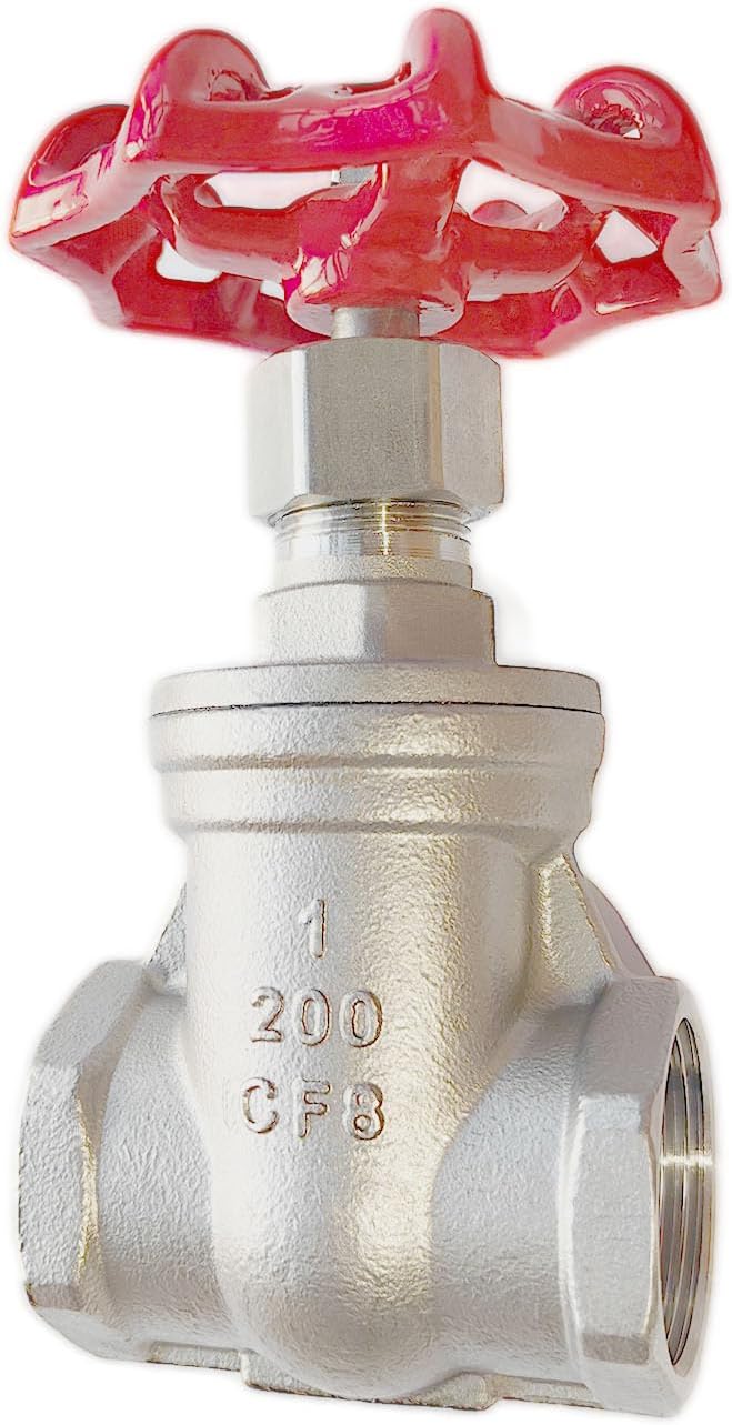 1" NPT 304 Stainless Steel Gate Valve DN25