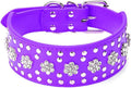 Rhinestones Dog Collars Flower Pattern Rhinestone Studded Leather Sparkly Crystal Diamonds Dazzling Sparkling Elegant
