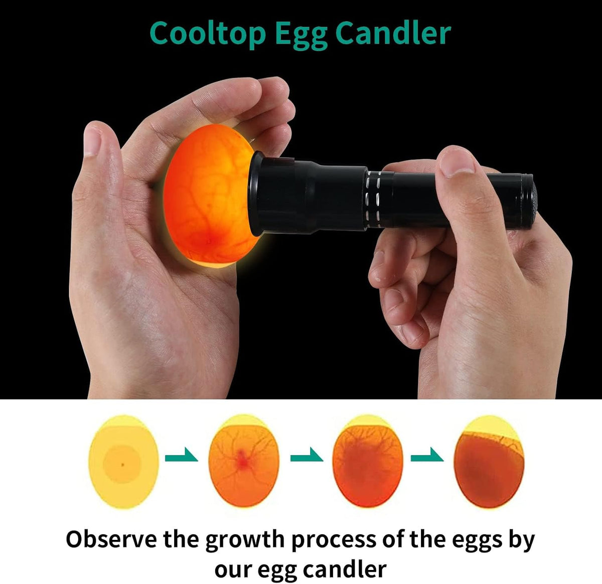 Egg Candler, Candling Light Tester for Eggs with High Intensity,Egg Candle for Distinguishing Fertile Chickens Ducks
