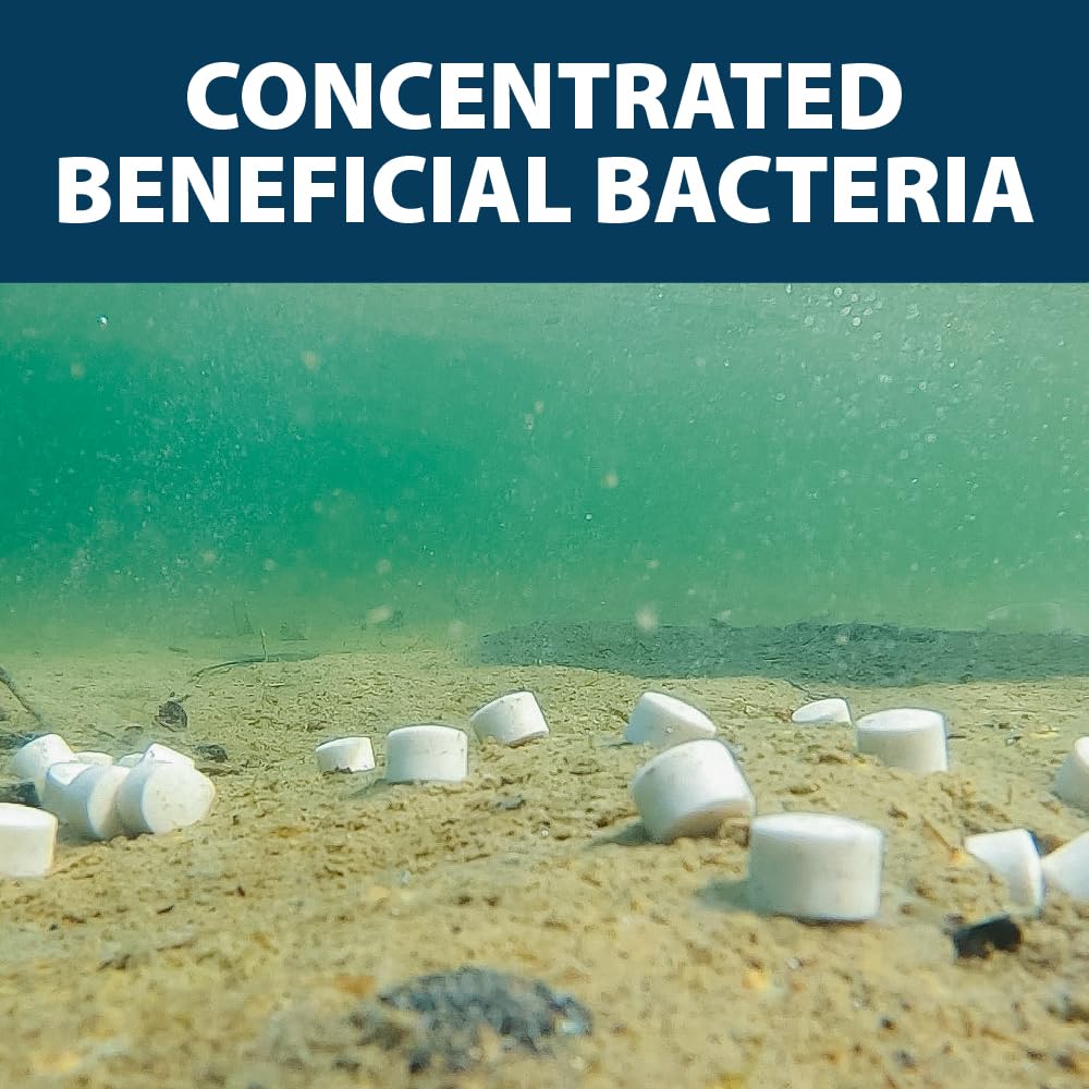 MuckAway Bacteria Enzyme Tablets for Ponds & Lakes, 8 Scoops