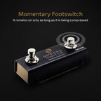Dual Footswitch Pedal Momentary 2-Way Pedal Foot Switch Controller Ampero Switch 6.35 mm