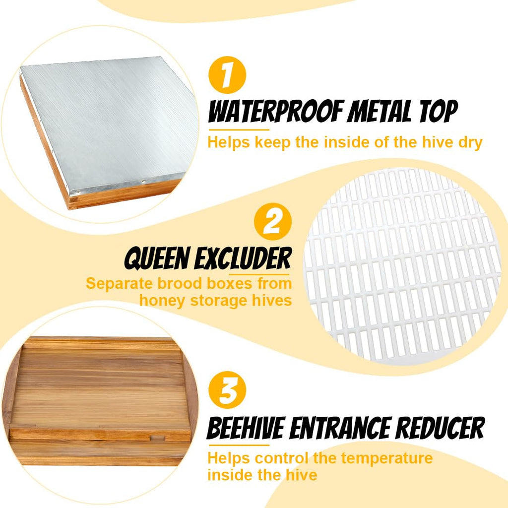 10-Frame Langstroth Beehive Starter Kit, Beeswax Coated Complete Bee Hive Includes 2 Deep Brood Boxes & 2 Medium