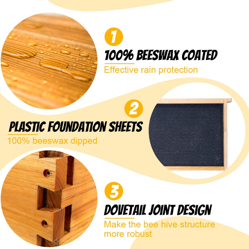 10-Frame Langstroth Beehive Starter Kit, Beeswax Coated Complete Bee Hive Includes 2 Deep Brood Boxes & 2 Medium